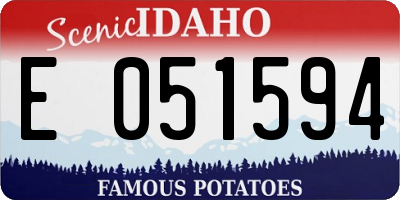 ID license plate E051594