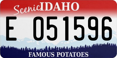 ID license plate E051596