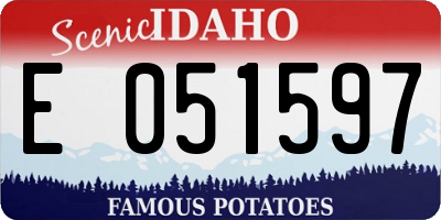 ID license plate E051597