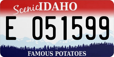 ID license plate E051599