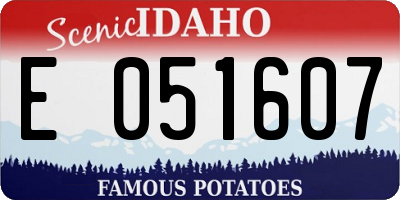 ID license plate E051607