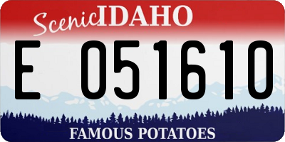 ID license plate E051610