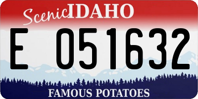 ID license plate E051632