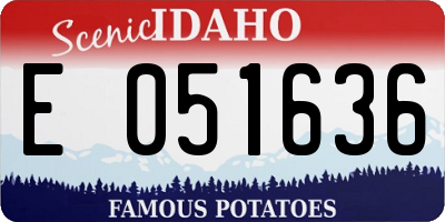 ID license plate E051636