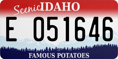 ID license plate E051646