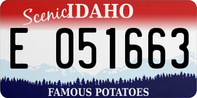 ID license plate E051663