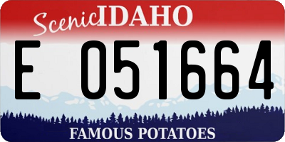 ID license plate E051664