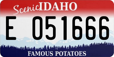 ID license plate E051666