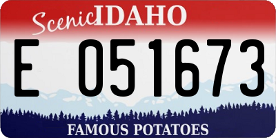ID license plate E051673