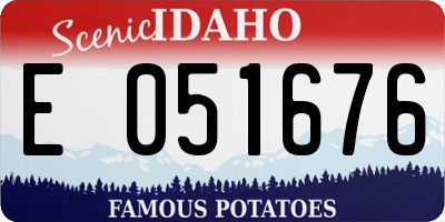 ID license plate E051676