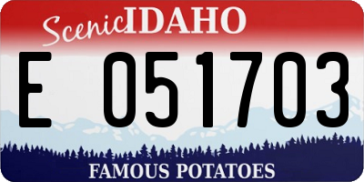 ID license plate E051703