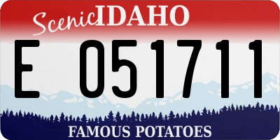 ID license plate E051711