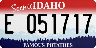 ID license plate E051717