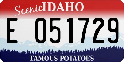 ID license plate E051729