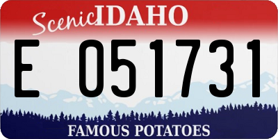 ID license plate E051731
