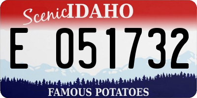 ID license plate E051732