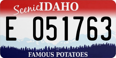 ID license plate E051763