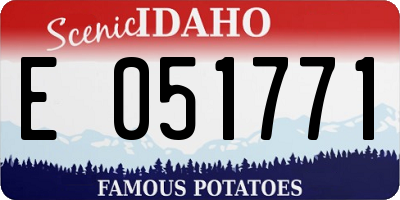 ID license plate E051771