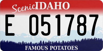 ID license plate E051787
