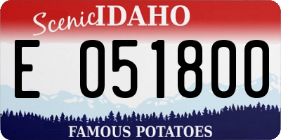 ID license plate E051800