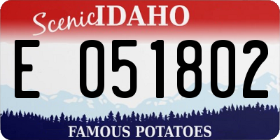 ID license plate E051802