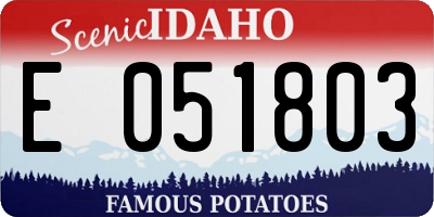 ID license plate E051803