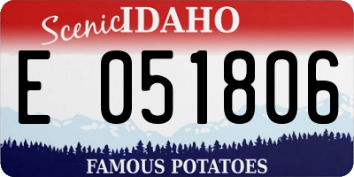 ID license plate E051806