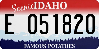 ID license plate E051820