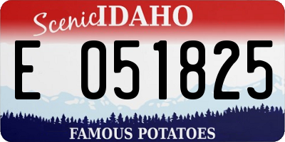 ID license plate E051825