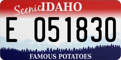 ID license plate E051830