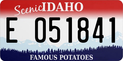 ID license plate E051841
