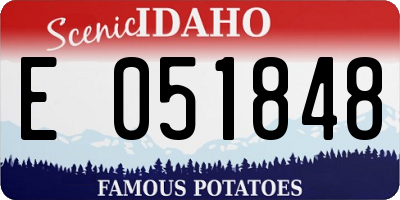 ID license plate E051848