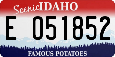 ID license plate E051852