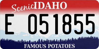 ID license plate E051855