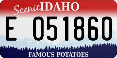 ID license plate E051860