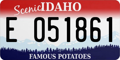 ID license plate E051861