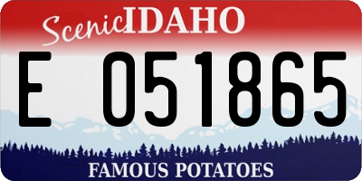 ID license plate E051865