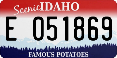 ID license plate E051869
