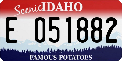 ID license plate E051882