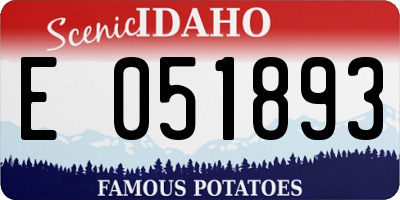 ID license plate E051893