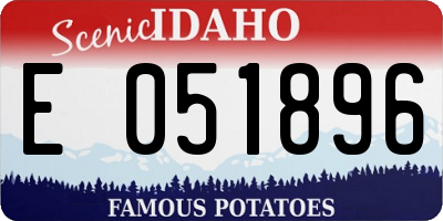 ID license plate E051896