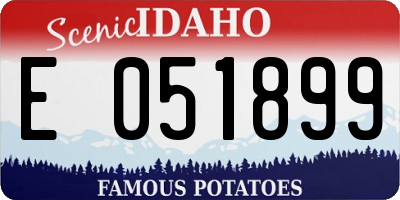 ID license plate E051899