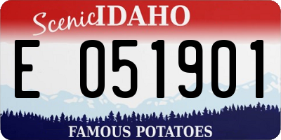 ID license plate E051901