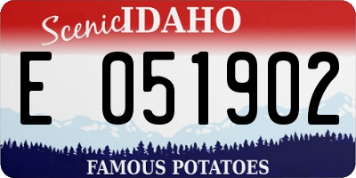 ID license plate E051902