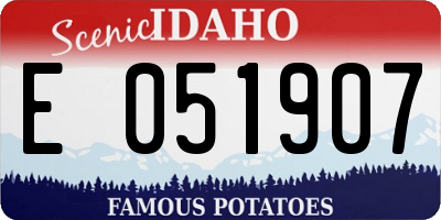 ID license plate E051907