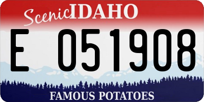 ID license plate E051908