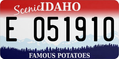 ID license plate E051910