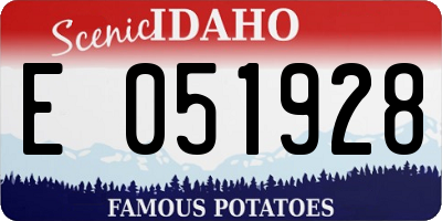 ID license plate E051928