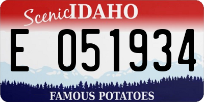 ID license plate E051934