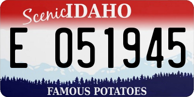 ID license plate E051945